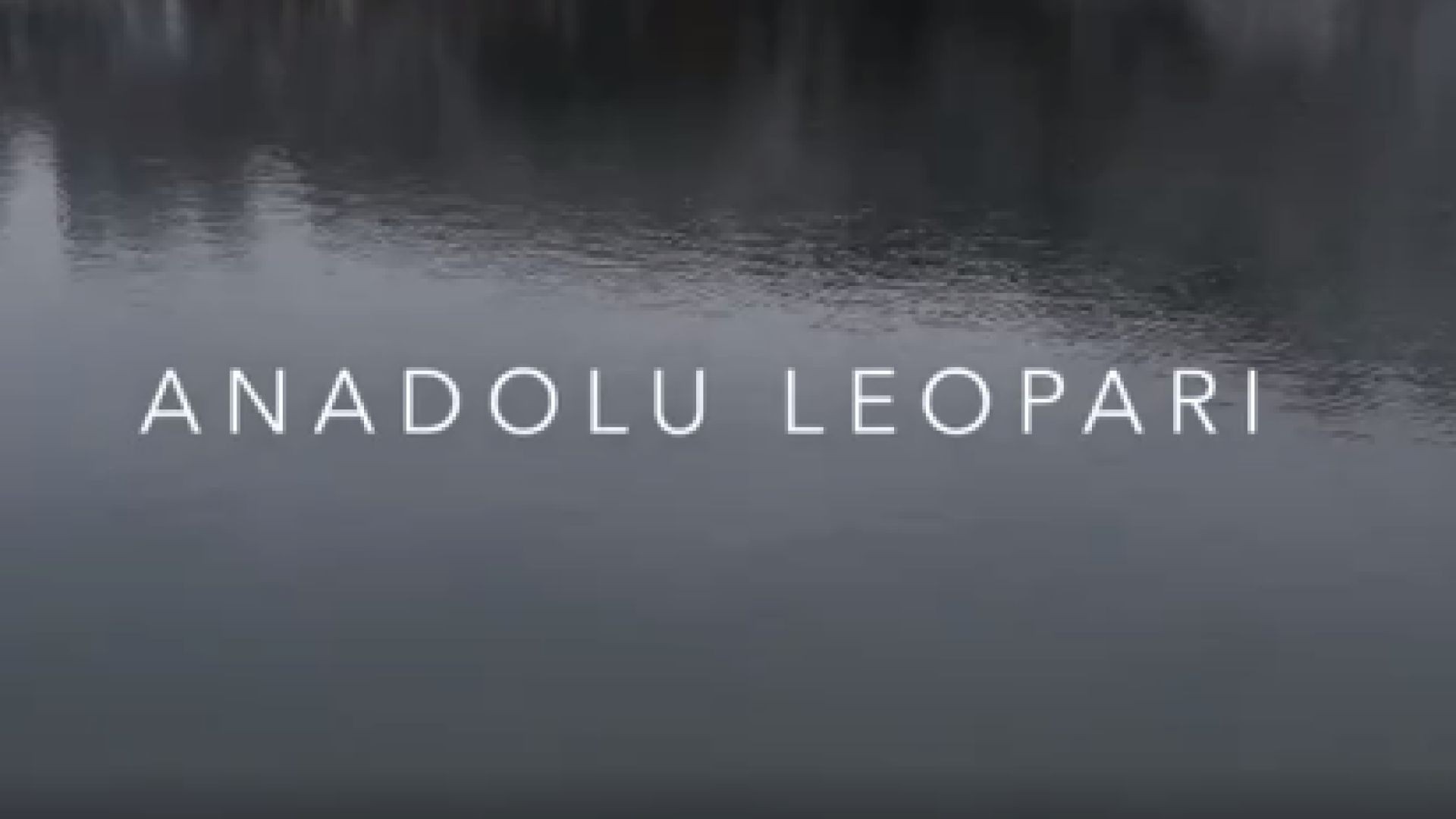 Anadolu leopari - Анадолският леопард 2021 bg sub