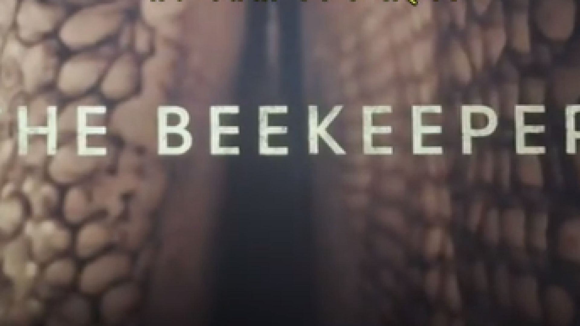 The Beekeeper - Ο Μελισσοκόμος (2024) greek subs