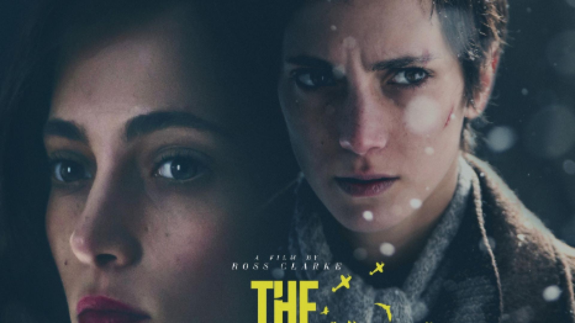 ⁣The Birdcatcher - Птицеловът (2019) bg sub