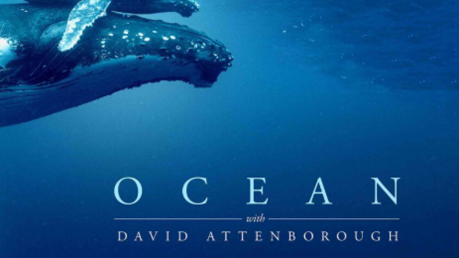 ⁣Ocean with David Attenborough 2025 - subs eng,dan,dut,gre,rum