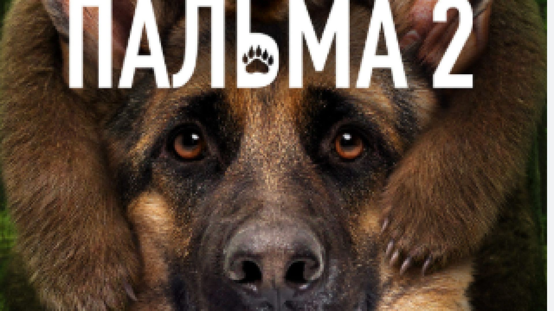 ⁣Палма 2 2025 бг суб