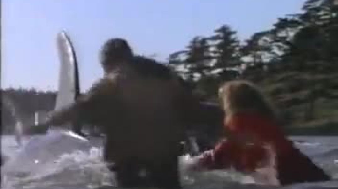 ⁣Волният Уили 2 (1995) Бг субтитри