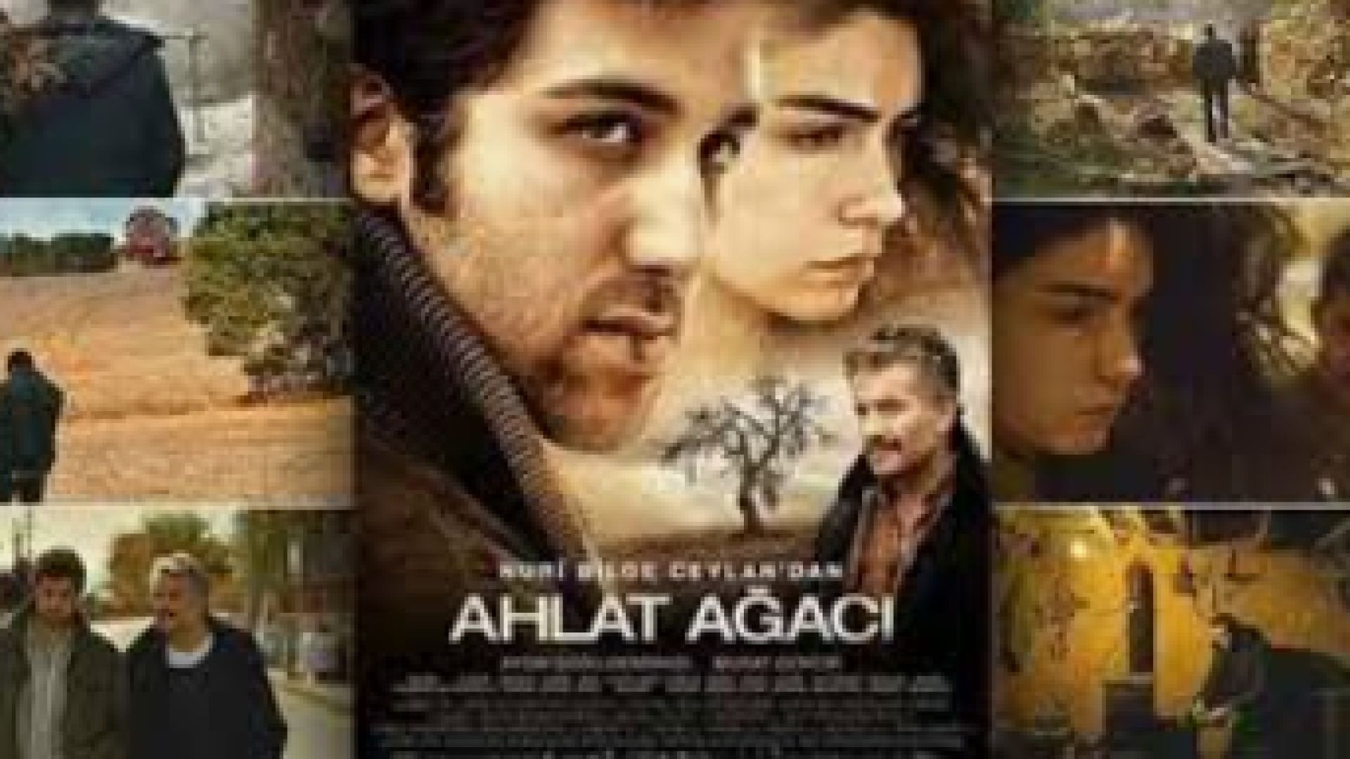 Дивата круша 2018 bg sub