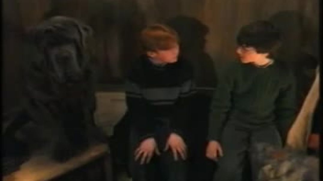 Хари Потър и философският камък (2001) Бг аудио