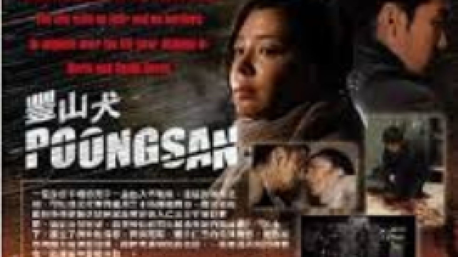 Пунгсан 2011 бг суб